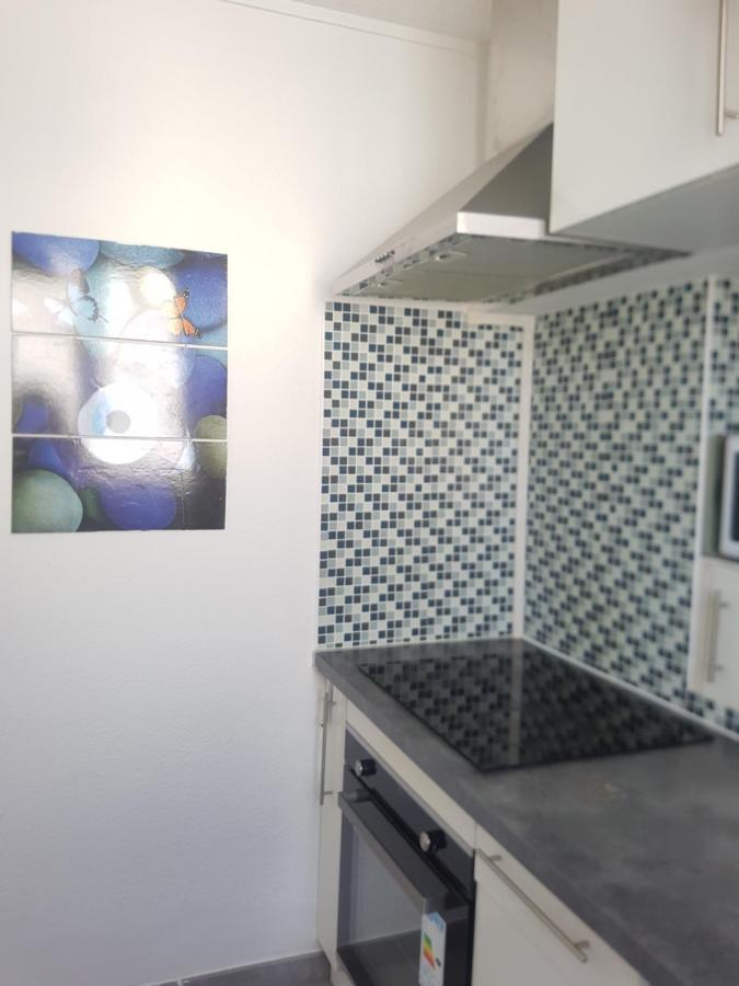 Logement Entier - Appartement T4 Hypercentre Dans Une Rue Calme - Stationnement Gratuit Tarbes Buitenkant foto